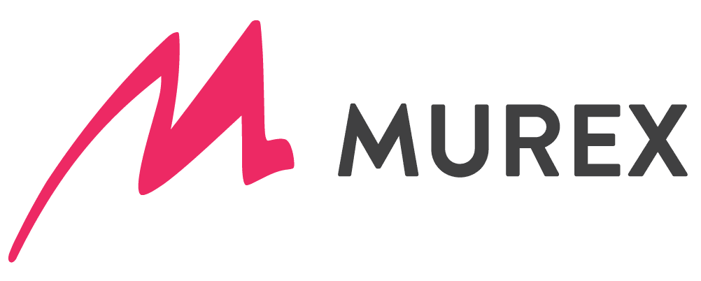 Murex - SAFe Implementation for Financial Software