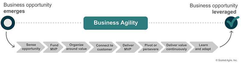 Product operating model snapshot